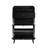 Rattan, Allen 2 Door 1 Drawer Cabinet, Shoe Rack, Double Layer, Suitable For Entrance