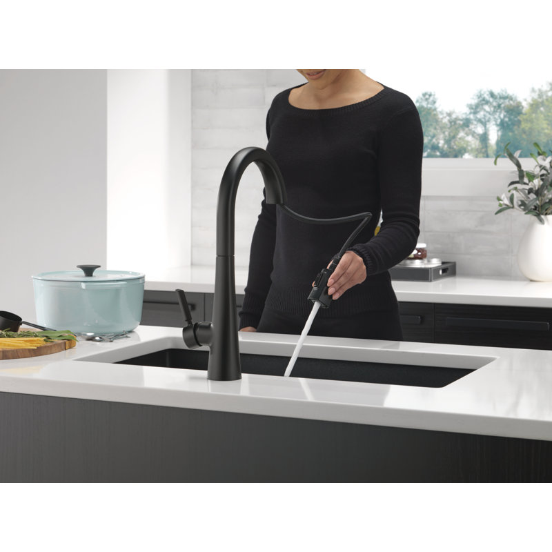 Monrovia Pull Down Single Handle Kitchen Faucet, Matte Black