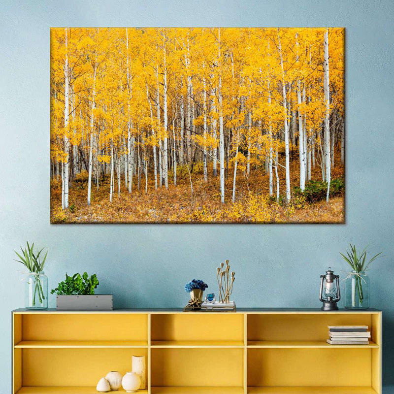 Colorado Aspen Forest, reproduction sur toile, H 8 po x l 12 po x P 1 po