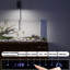Aquarium ouvert en verre ultra-transparent