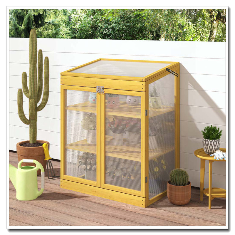 Serre à cadre froid en bois Greenhouse