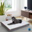 Wakefield Orthopedic Polyester Pet Bed-1111031411
