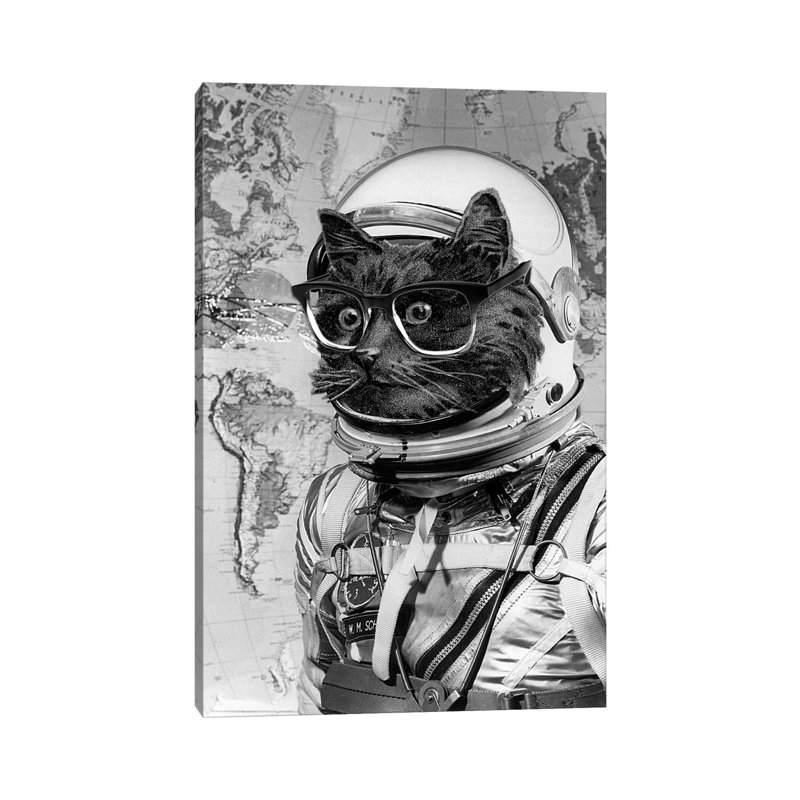 Eugenia Loli - Space Kitten by Eugenia Loli - Print on Canvas, 30.48 cm H x 45.72 cm W, Wrapped Canvas
