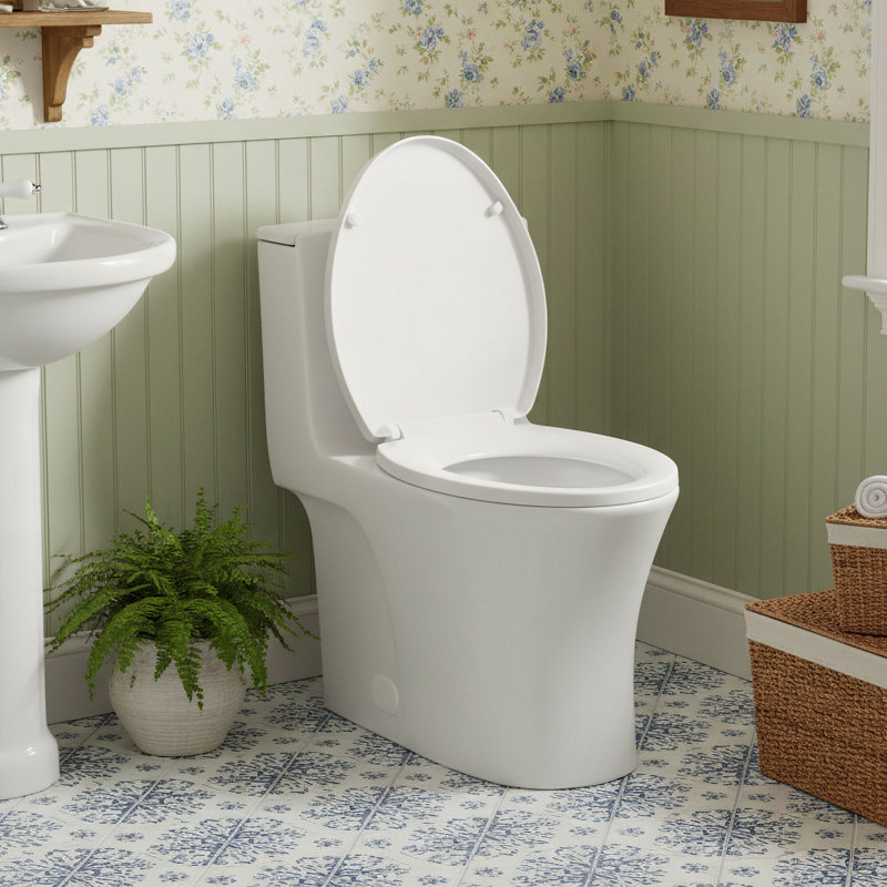 Toilette allongée à double chasse avec douchette brute de 12 po, 1,1 / 1,6 GPF économisant l'eau, 1000g CARTE, en céramique blanche élégante