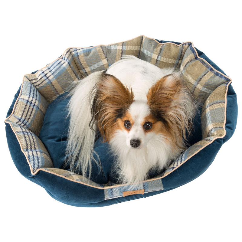 Velvet Bolster Pet Bed, Blue, 47 W x 68 D cm