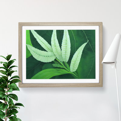 Imaginative Fern Leaf 1 Piece Single Picture Frame Wall Art