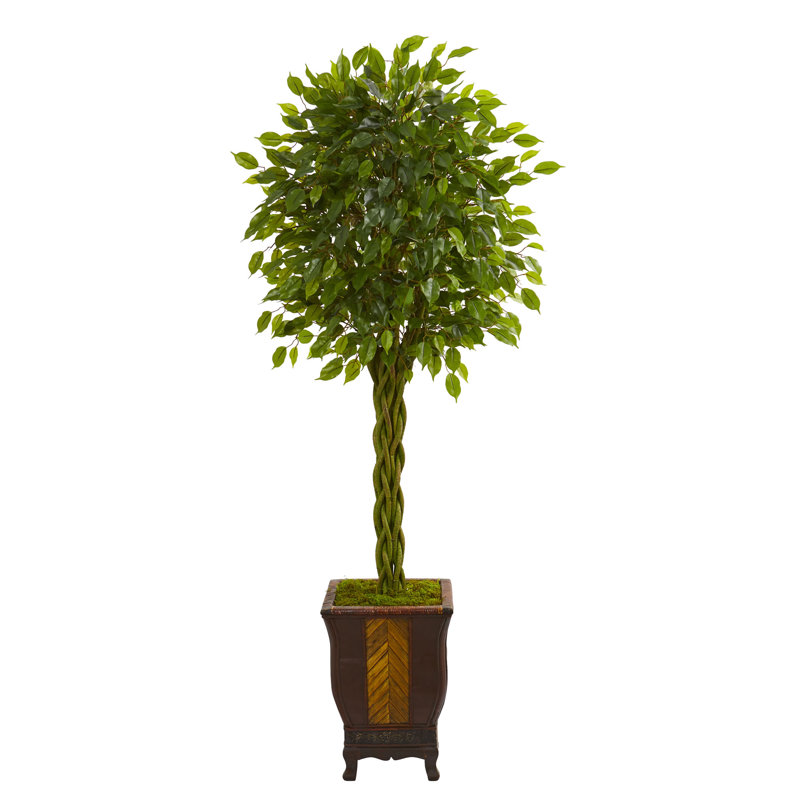 72'' Faux Ficus Tree in Ceramic Planter