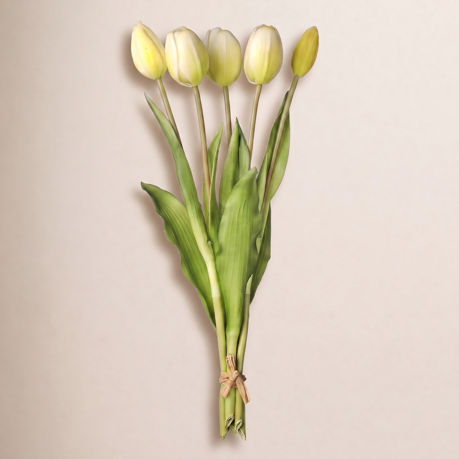 Tulip Floral Stems, White