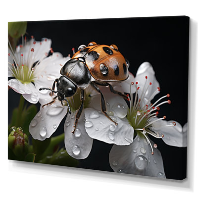 Nature c - Mystérieuse coccinelle en fleurs - imprimé