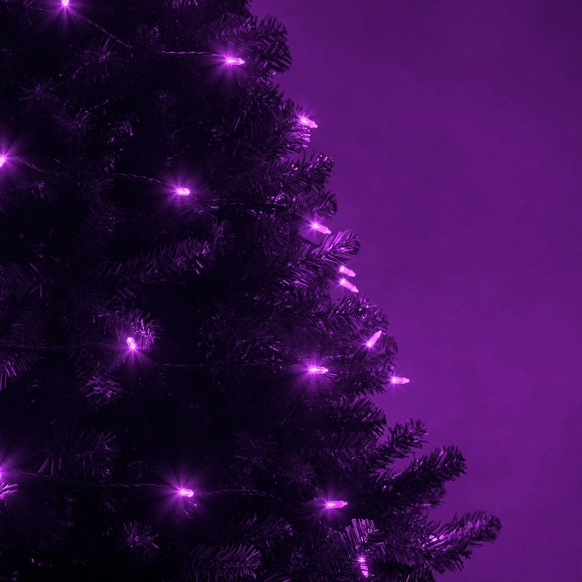 25.5' Steady LED String Lights, Purple