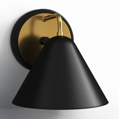 Lissie Single Light Iron Dimmable Armed Sconce