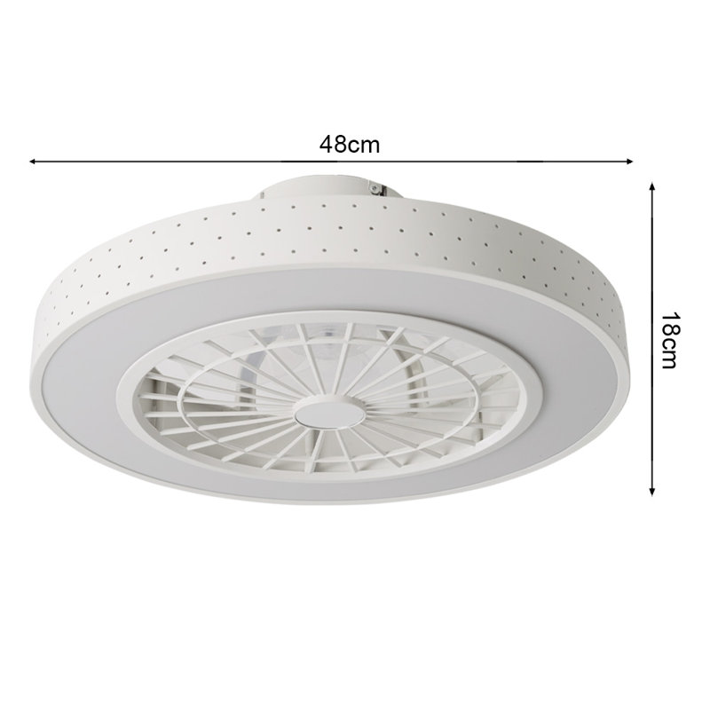 Ceiling Fan with LED Lights