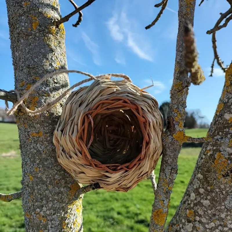 Cage à oiseaux suspendue pour colibris pour oiseaux et oiseaux