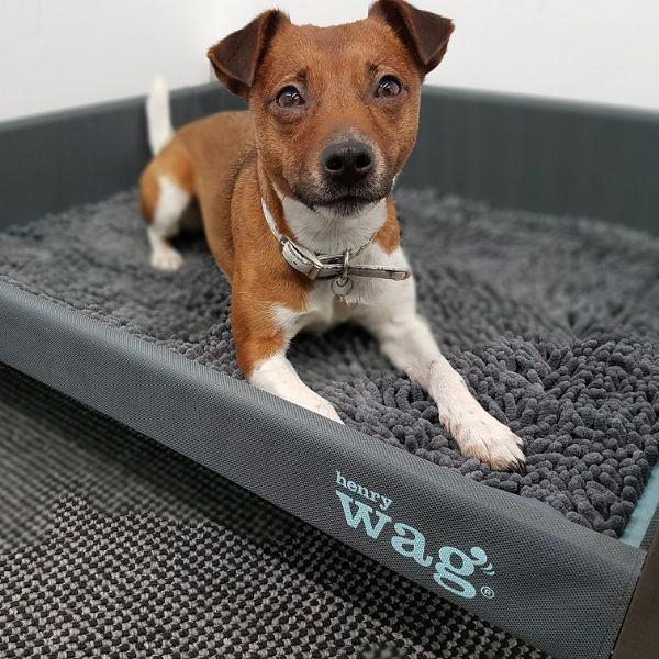 Microfibre Pet Bed, Large (80cm W x 65cm D x 2cm H)