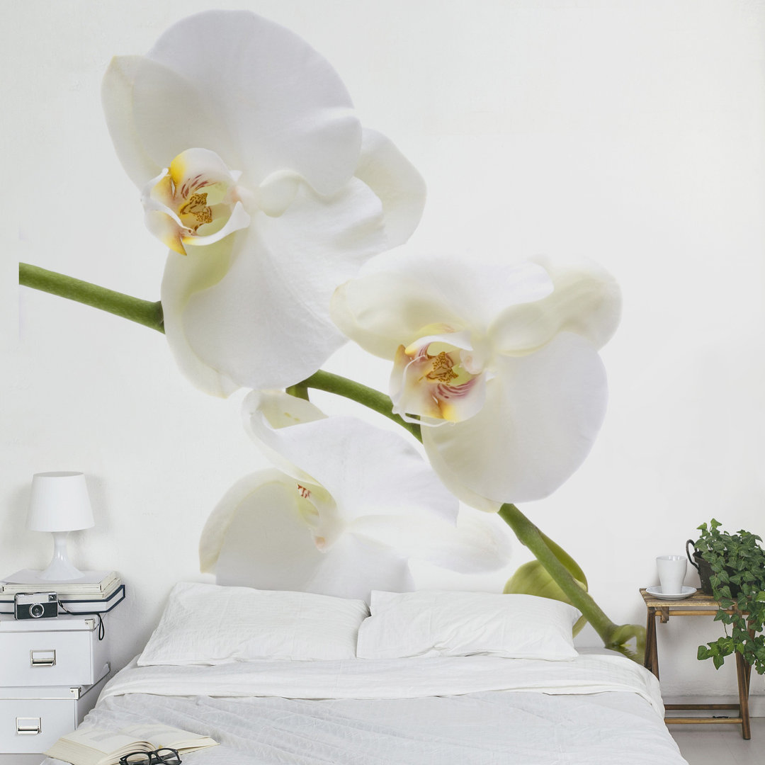 Tapete Weiß Orchidee Wasser 3.36m x 336cm Staley