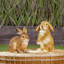 Statue de lapin en résine brune, H 9 po