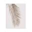 Plaque murale Falling Neutral Brown Palm, design par Sissi et Seb