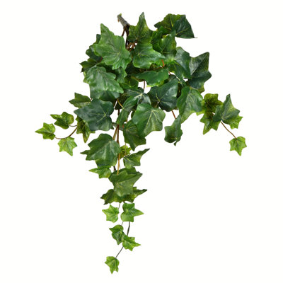Ivy Arrangement