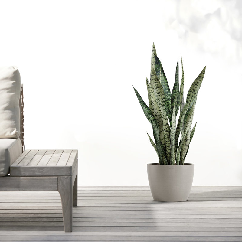 Ecopots Stockholm Indoor/Outdoor Modern Recycled Plastic Flower Pot Planter, Taupe, 7" H x 9.5" W x 9.5" D