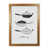 Honey Oak Frame is unavailable