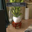 Fishbowl Stand-2098407281