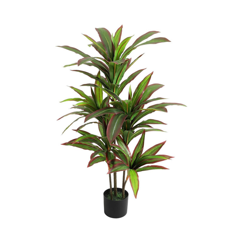 Plant, 120cm H x 16cm W x 80cm D