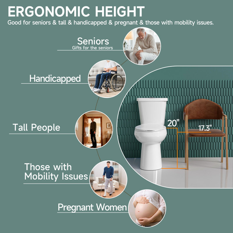 19" ADA Height Compact Two Piece Tall Toilet for Seniors, 1.1/1.6 GPF Tornado Dual Flush, MAP 1000g, White, White