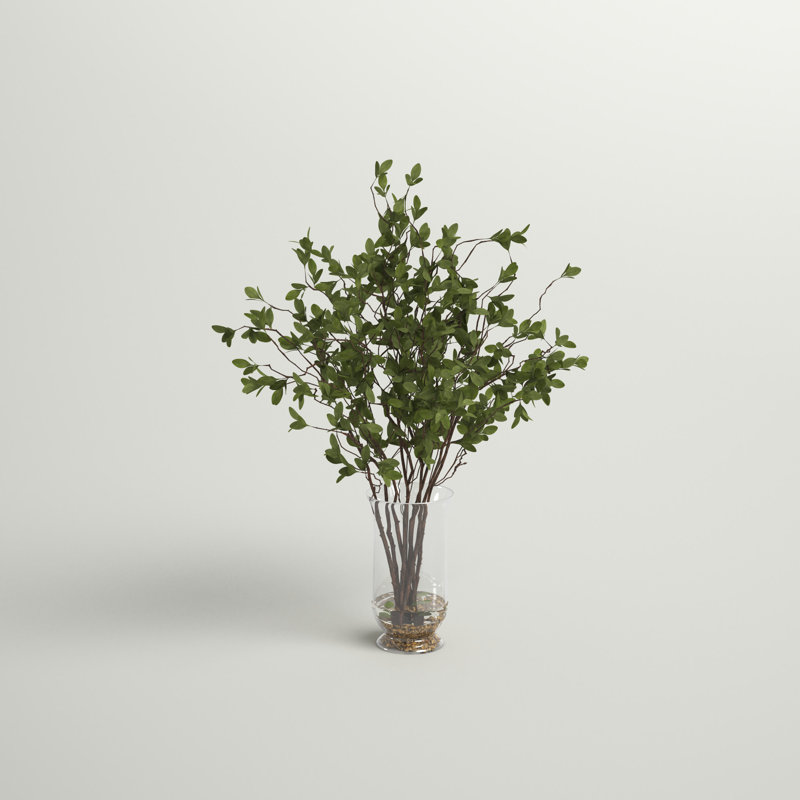 Branches de bourgeons en feuillage en pot