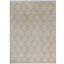 Hand-Knotted High-Quality Light Blue/Brown/Beige Area Rug