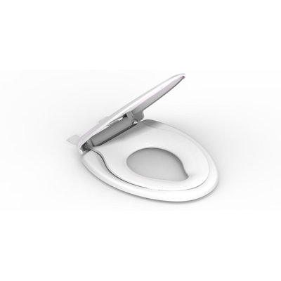 Elongated Toilet Seat and Lid