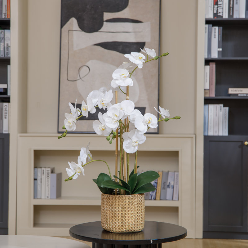 29" White Orchid Arrangement in a Ceramic Planter | Real Touch White Moth Phalaenopsis Orchids