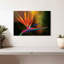 Strelitzia Harnek Delightful-107695723