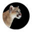 Puma Profile Print-23528022