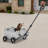 Folding Pet Stroller, Dog Cart-113142575