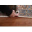 Tapis traditionnel floral 6 x 9