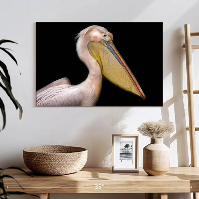 Pelican Portrait