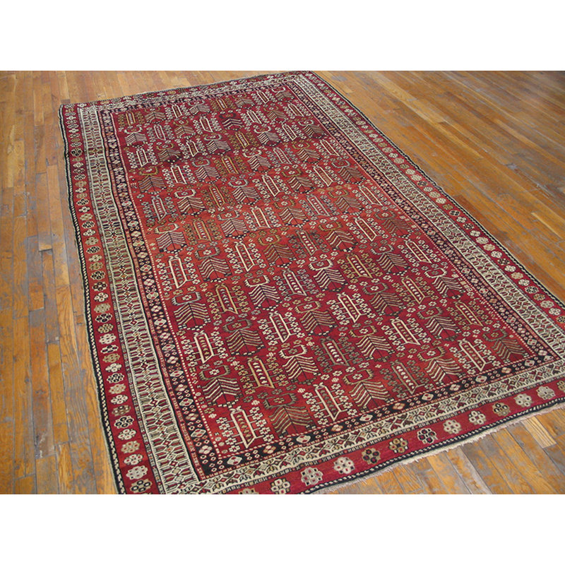 Tapis Shirvan