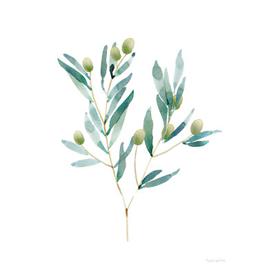 Lilirose " Gentle Olive Branch " by Mercedes Lopez Charro