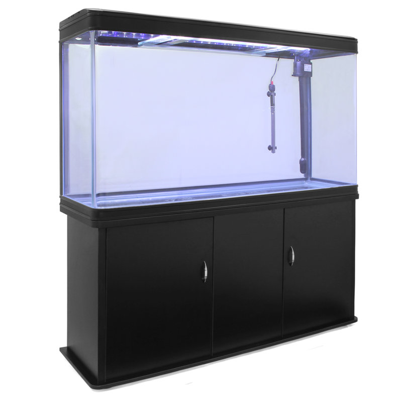 300L Hollis Aquarium Tank, Black