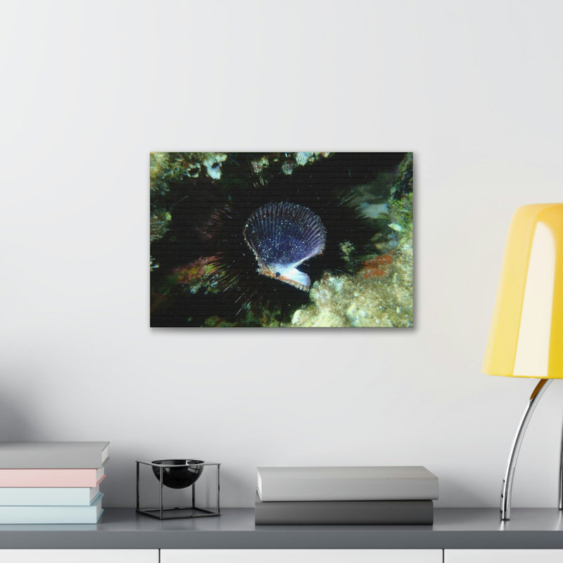 No Frame Print on Canvas, 30.48cm H x 40.64cm W