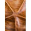 World Menagerie Wood