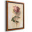 Painterly Rose Study I, toile encadrée de qualité supérieure - prête à être accrochée-892589567