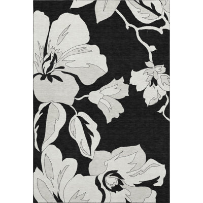 Premium Machine Washable Prisco Black Rug