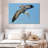 Crowle Pelican In The Air