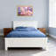Plantes et fleurs, hortensia pastel à motif floral-106834582-106834580-106834578