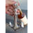 Aubriaunna Bottle Opener