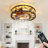 Aariyah 19.3'' Ceiling Fan with Light Kit