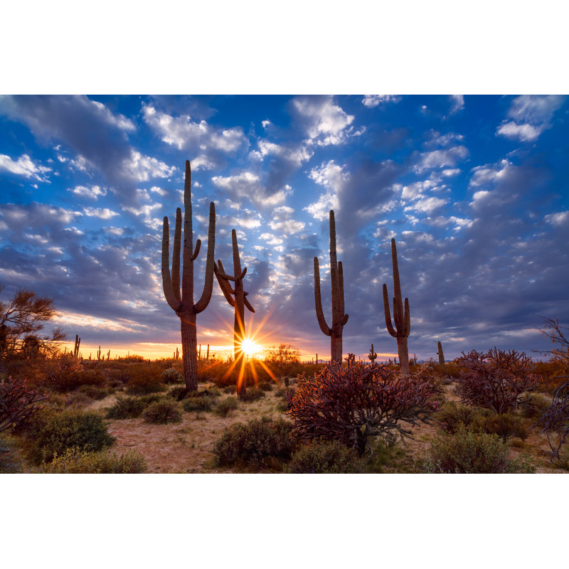 Arizona Desert Landscape At Sunset - Wrapped Canvas Print, 51cm H x 76cm W 