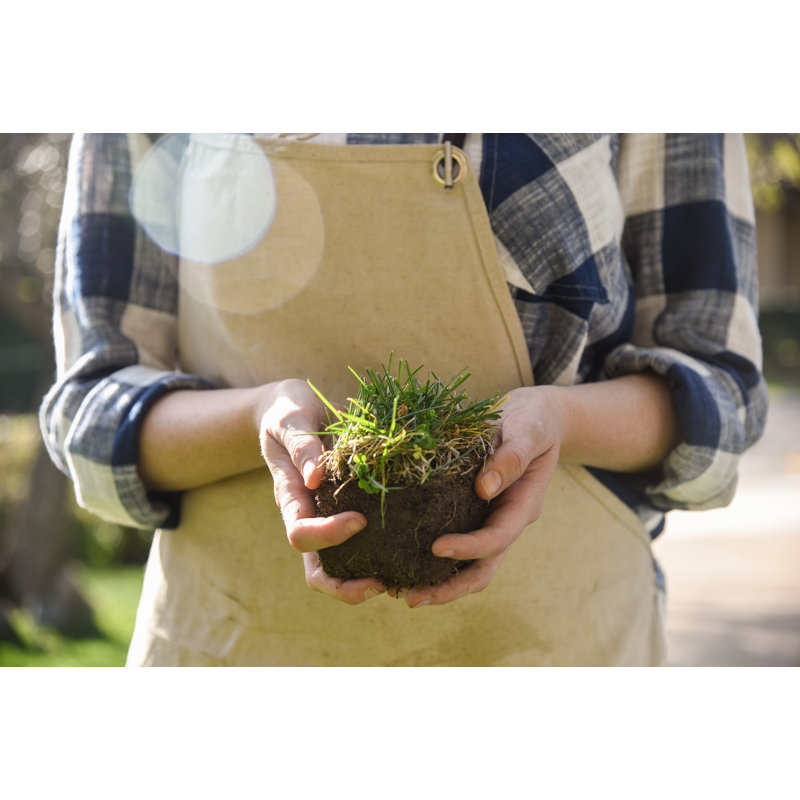 Yard Butler Turf Cutter Sod Plugger Tool