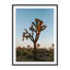 Camp Print by Wesley And Emma Teague-2005964814-2005964810-2005964806